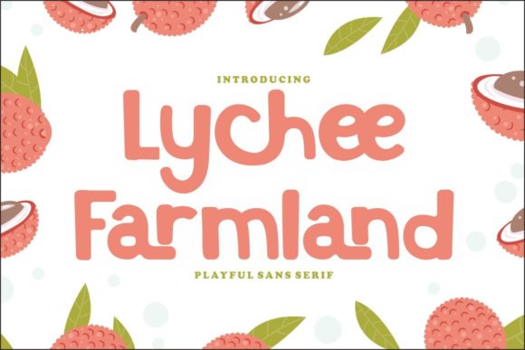 Evaluating Lychee Farmland: A Practical Guide to Its Unique Display Capabilities